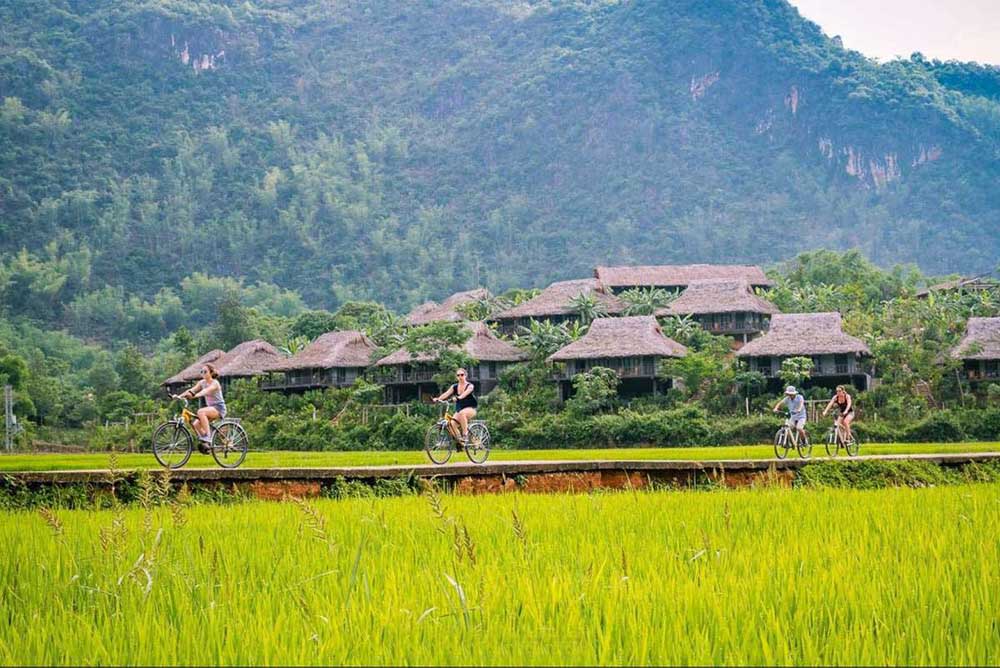 Riding around rice fields in Mai Chau